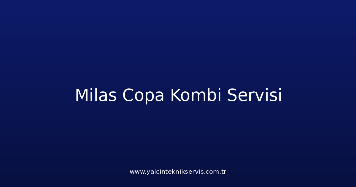 Milas Copa Kombi Teknik Servisi
